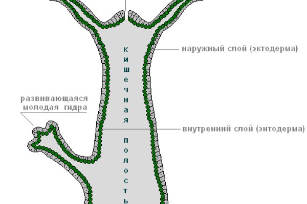 Кракен купить наркотики