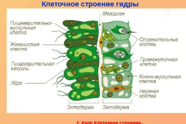 Зайти на кракен тор