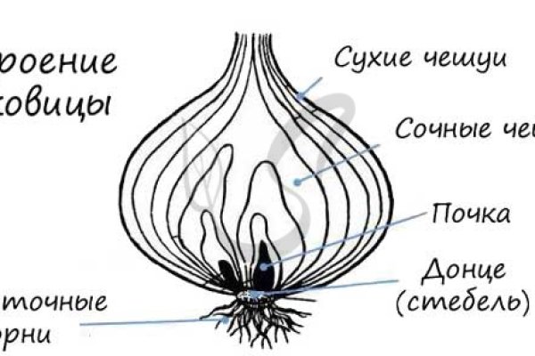 Кракен новая гидра